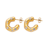Tammy Diamante Earrings